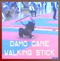 Staff Damo (Masters) Cane Walking Stick